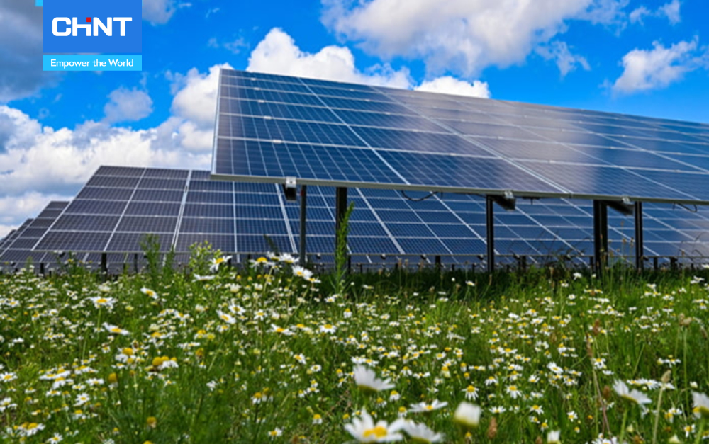 giải pháp tiết kiệm năng lượng từ tấm pin mặt trời của CHINT