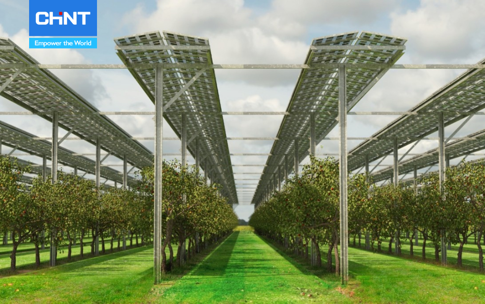 Điện Mặt Trời Nông Nghiệp - Giải Pháp Cho Nông Nghiệp Sạch 5 khai thác điện mặt trời nông nghiệp hiệu quả