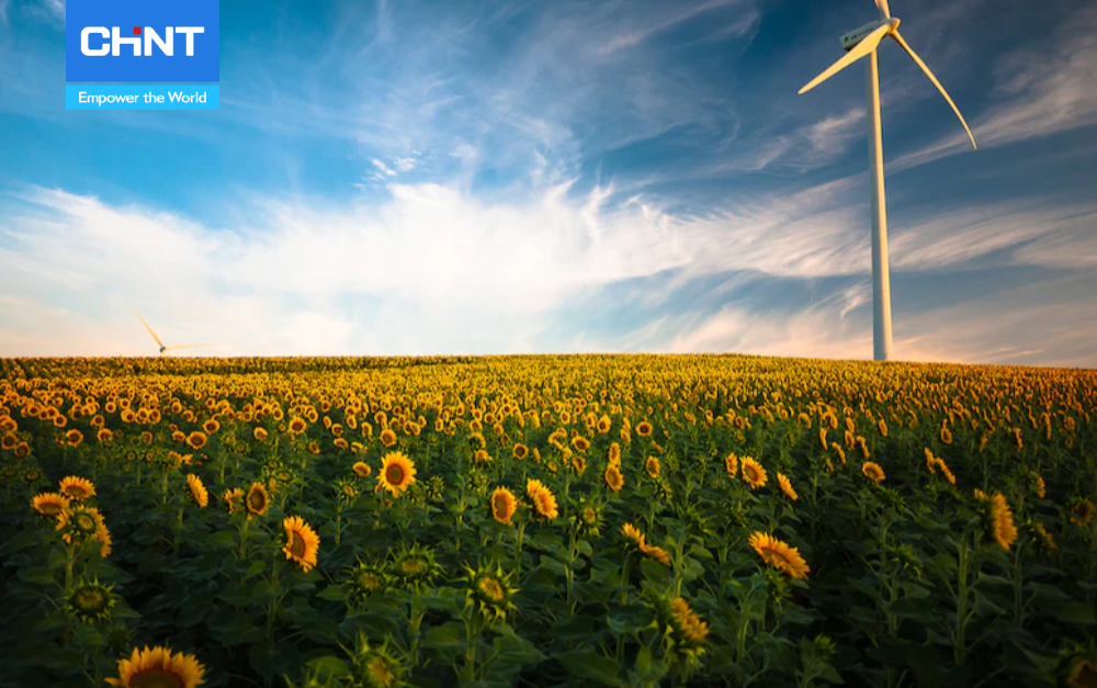 ứng dụng của năng lượng gió trong đời sống