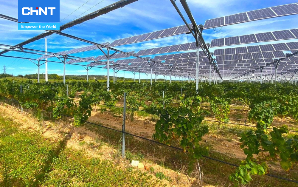 Điện Mặt Trời Nông Nghiệp - Giải Pháp Cho Nông Nghiệp Sạch 2 mô hình điện mặt trời nông nghiệp đang nhân rộng ở Việt Nam