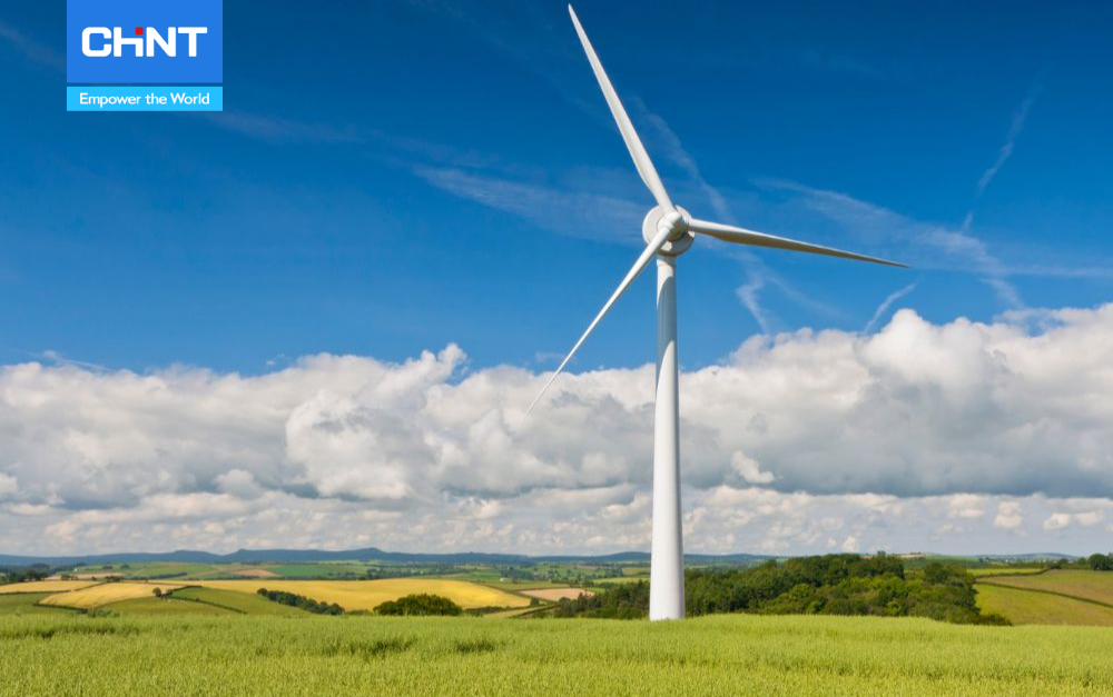 Thị Trường Năng Lượng Tái Tạo Năm 2024 4 năng lượng tái tạo năng lượng gió