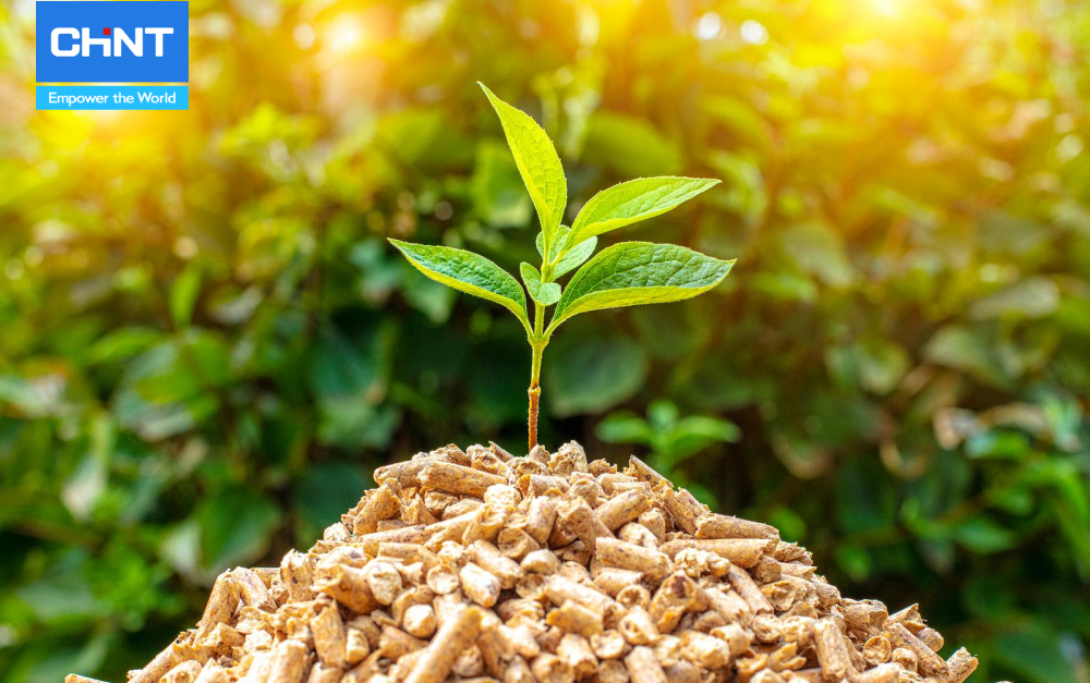 năng lượng sinh khối đáp ứng một phần nhu cầu về năng lượng ở việt nam