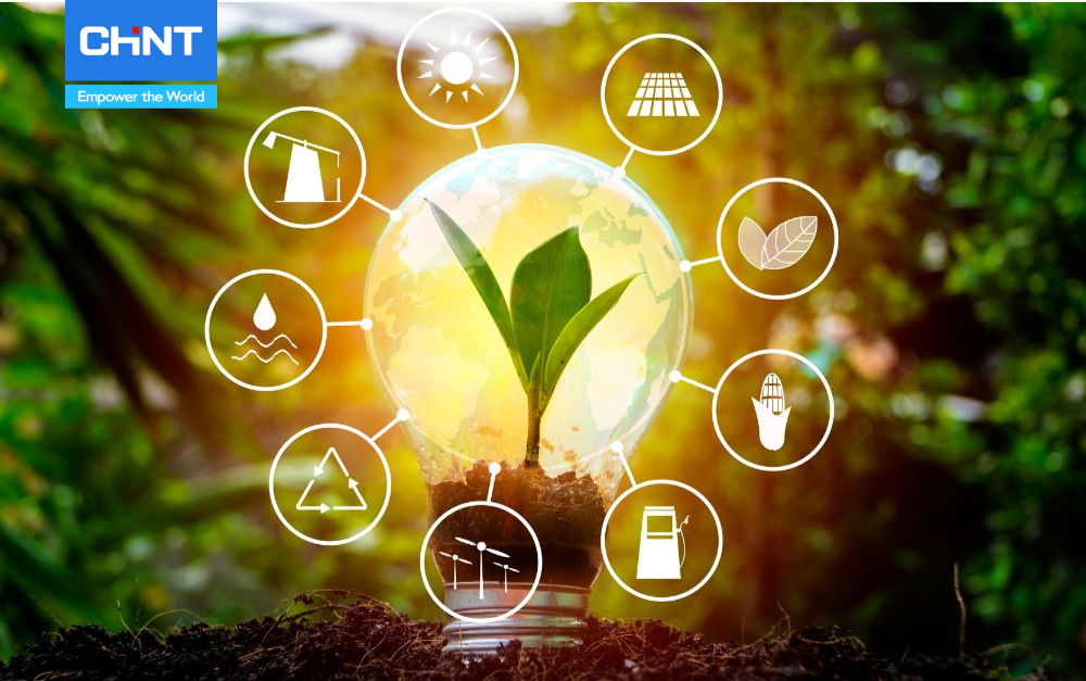 Thị Trường Năng Lượng Tái Tạo Năm 2024 1 năng lượng tái tạo