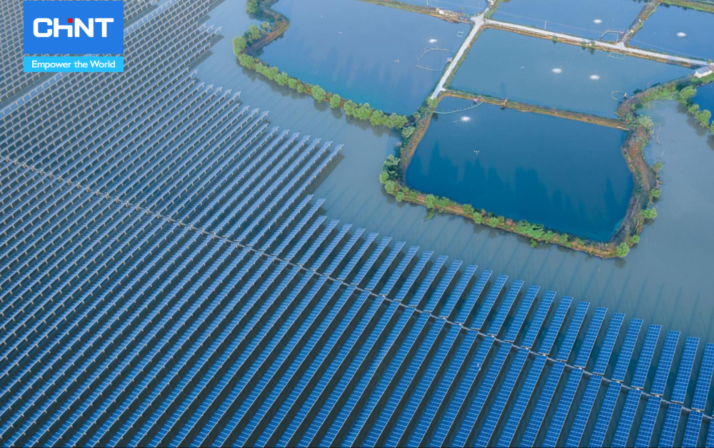 Thị Trường Năng Lượng Tái Tạo Năm 2024 6 năng lượng tái tạo pin năng lượng mặt trời