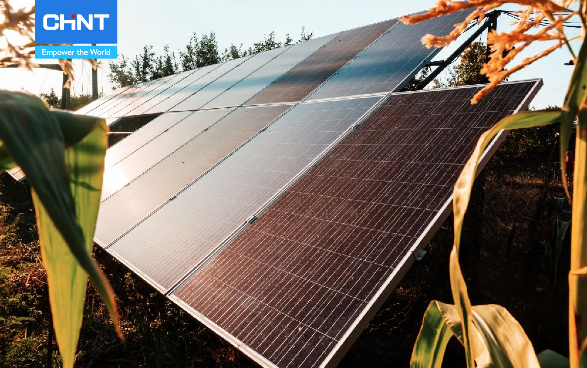 Hướng Dẫn Bảo Trì Tấm Pin Mặt Trời Đúng Cách 5 Sử dụng tấm pin mặt trời lưới ngoài của Chint