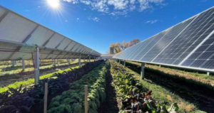 giai phap tiet kiem dien nong nghiep