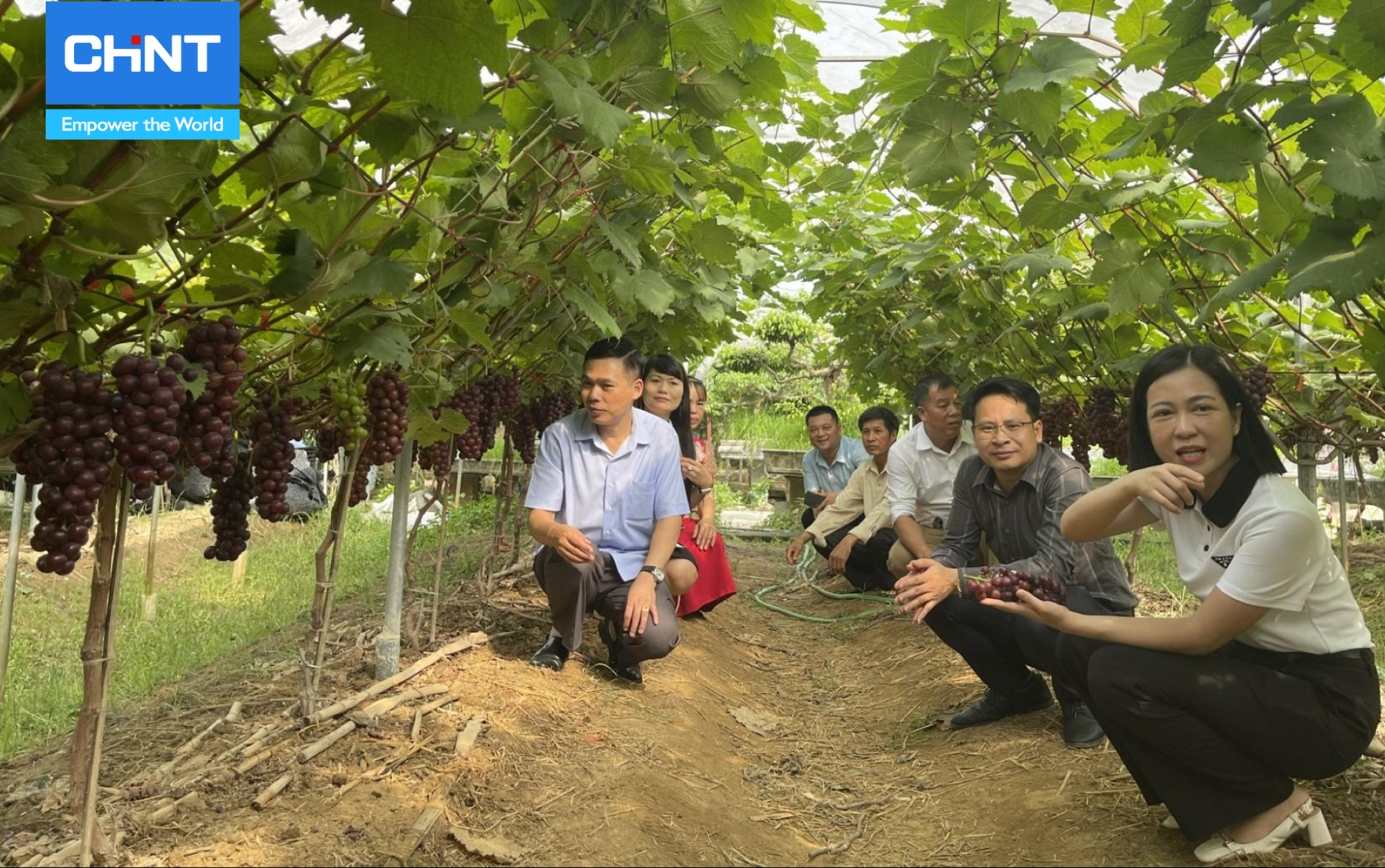 Giải Pháp Tiết Kiệm Điện Nông Nghiệp Hiệu Quả 3 Khuyến nông giúp giảm tiêu thụ lượng điện nông nghiệp