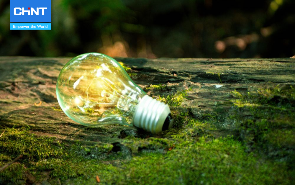 Năng lượng bền vững đóng vai trò phát triển kinh tế