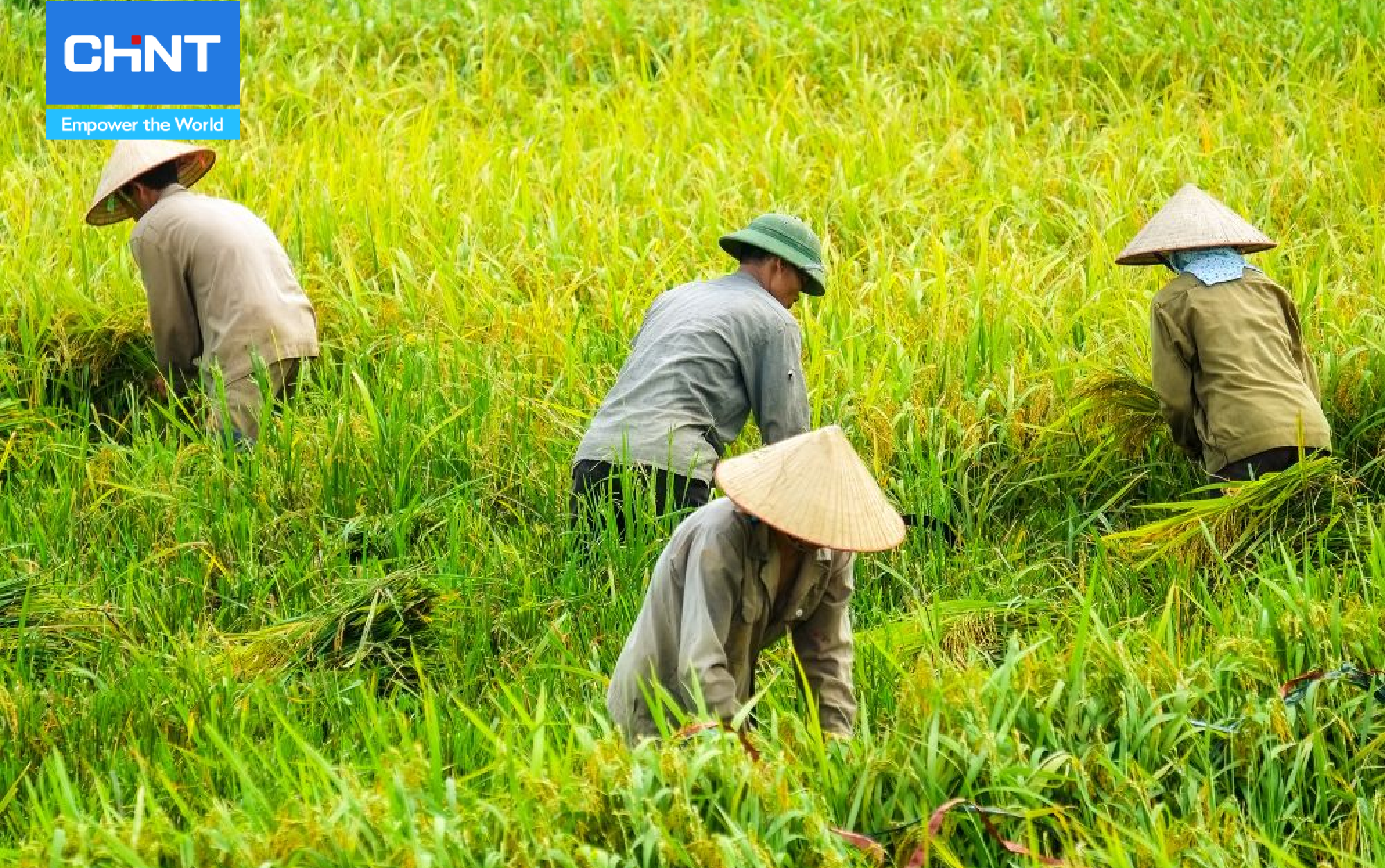 Xu Hướng Nông Nghiệp Bền Vững 2 Nông nghiệp bền vững nghĩa là phương thức canh tác theo hướng bền vững