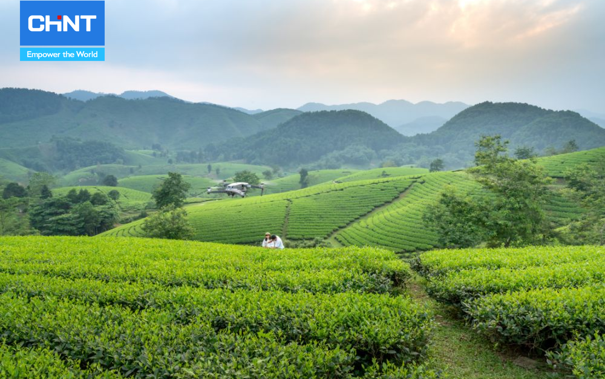 Xu Hướng Nông Nghiệp Bền Vững 4 Xây dựng nông nghiệp bền vững với phương pháp trồng cây che phủ đất