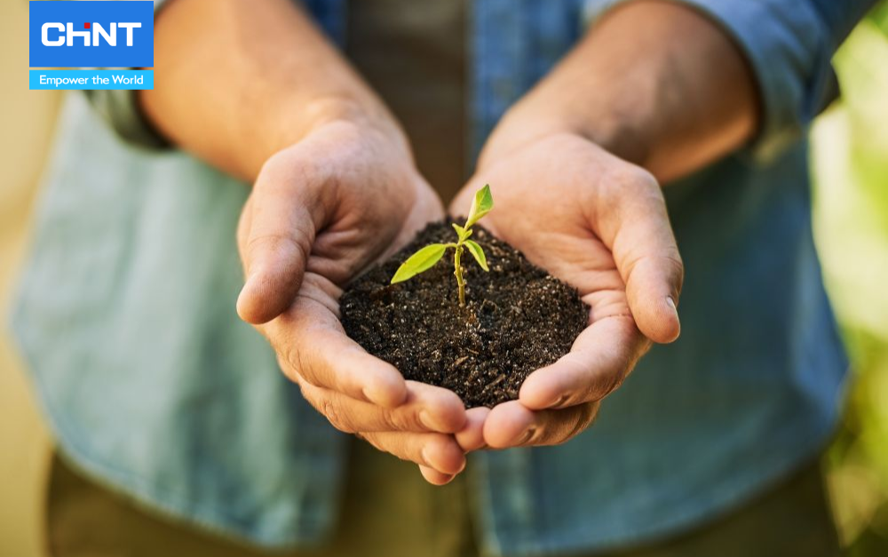 Xu Hướng Nông Nghiệp Bền Vững 5 Nông nghiệp bền vững với việc quản lý giống cây trồng phù hợp