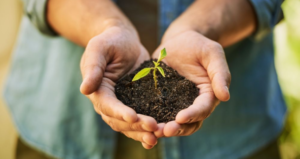 xu huong nong nghiep ben vung