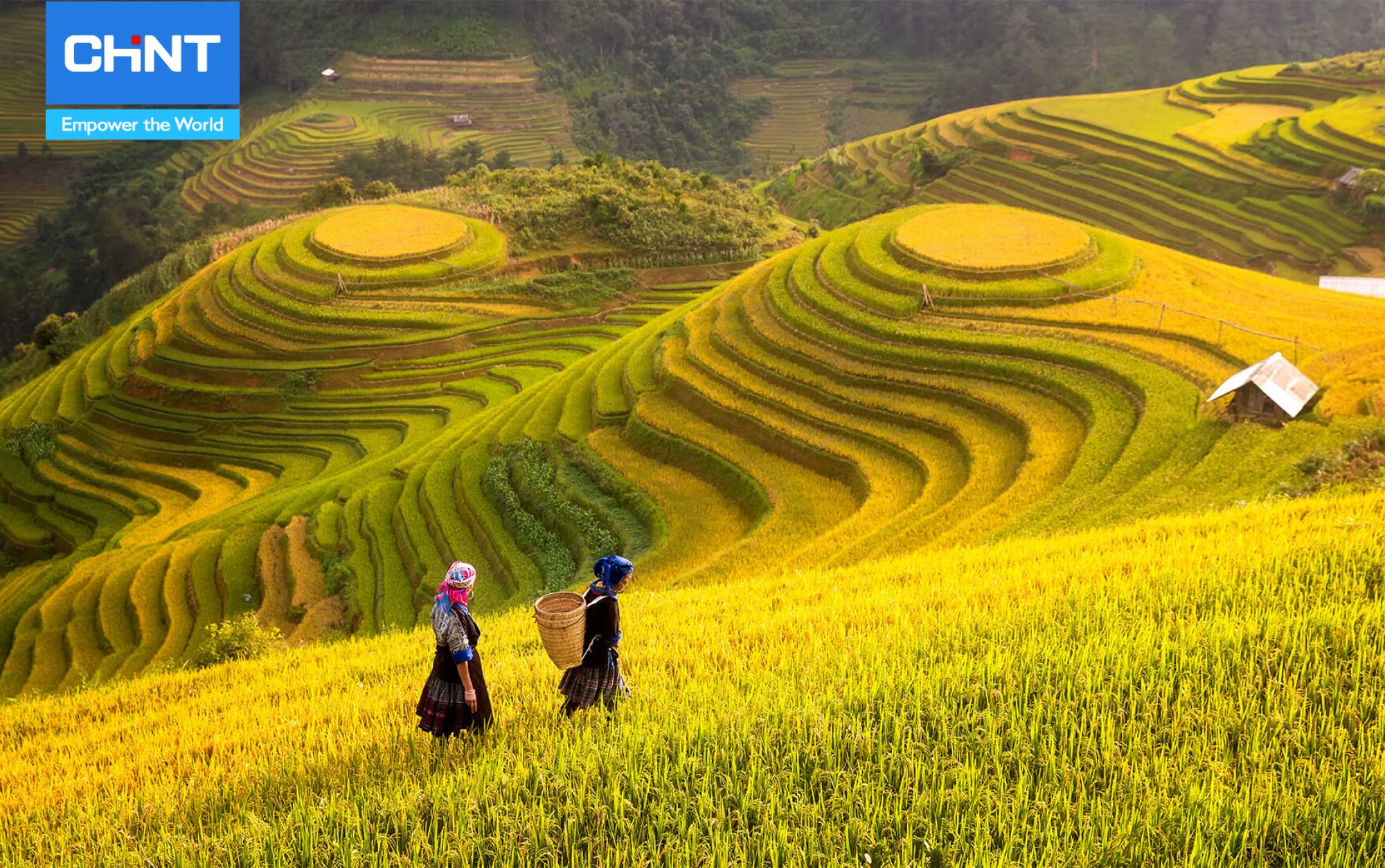 Xu Hướng Nông Nghiệp Bền Vững 1 Xu hướng nông nghiệp bền vững được xã hội quan tâm nhiều